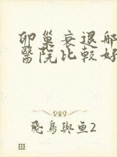 卵巢衰退哪个中医院比较好