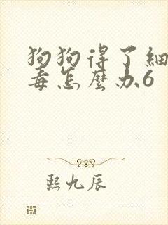 狗狗得了细小病毒怎么办6