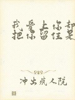 我爱上你却没能把你留住是什么歌