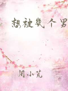 想被几个男人插