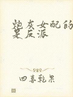 炮灰女配的老公是反派