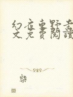 幻夜东野圭吾全文免费阅读txt下载