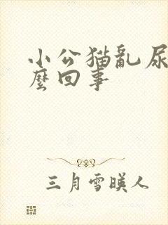 小公猫乱尿是怎么回事