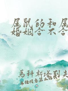 属鼠的和属兔的婚姻合不合