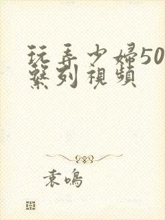 玩弄少妇500系列视频