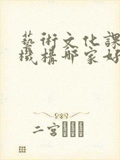 艺术文化课补习机构哪家好