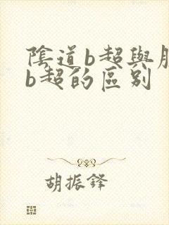 阴道b超与腹部b超的区别