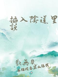 插入阴道里的小说