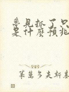 梦见抓了只兔子是什么预兆