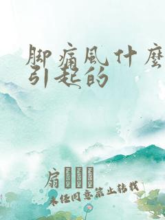 脚痛风什么原因引起的