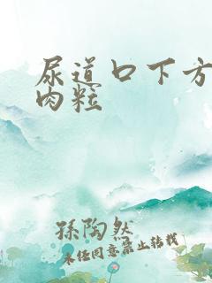 尿道口下方有小肉粒