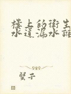 楼上的卫生间下水道漏水谁负责