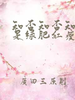 知否知否知否应是绿肥红瘦dvd版在线观看