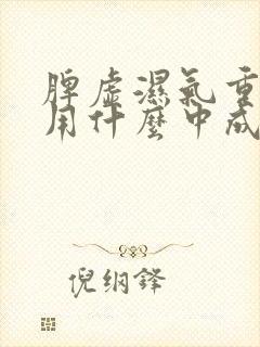 脾虚湿气重便秘用什么中成药调理