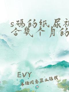 s码的纸尿裤适合几个月的宝宝