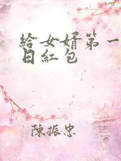 给女婿第一次生日红包