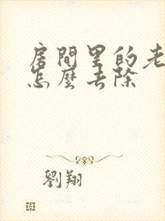 房间里的老人味怎么去除