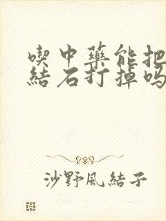 吃中药能把胆囊结石打掉吗