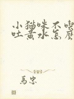 小猫咪不吃东西吐黄水怎么回事