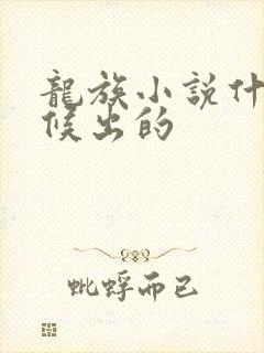 龙族小说什么时候出的