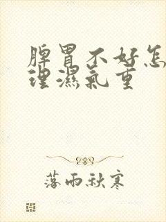 脾胃不好怎么调理湿气重