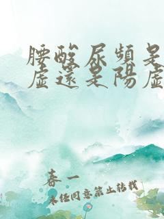 腰酸尿频是肾阴虚还是阳虚