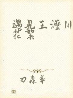 遇见王沥川精彩花絮