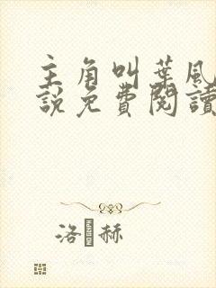 主角叫叶风的小说免费阅读