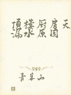 顶楼厨房天花板漏水原因