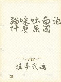 猫咪吐白泡泡是什么原因