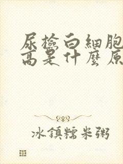 尿检白细胞计数高是什么原因