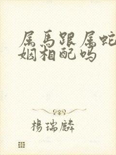 属马跟属蛇的婚姻相配吗