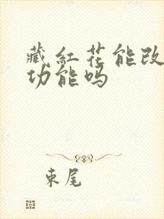 藏红花能改善性功能吗