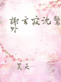 谢玄寂沈惊澜番外