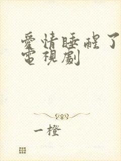 爱情睡醒了续集电视剧