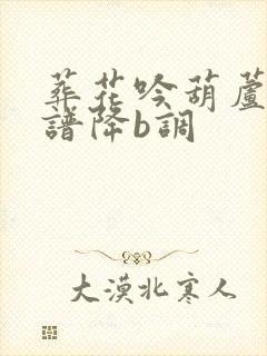 葬花吟葫芦丝简谱降b调