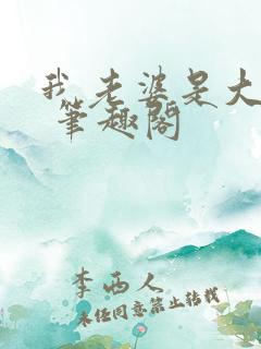 我老婆是大明星 笔趣阁