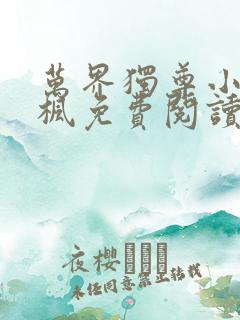 万界独尊小说林枫免费阅读