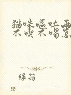 猫咪呕吐两天后不吃不喝怎么办