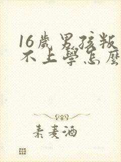 16岁男孩叛逆不上学怎么办