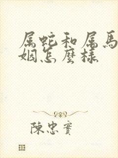 属蛇和属马的婚姻怎么样