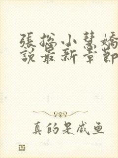 张总小慧娇妻小说最新章节