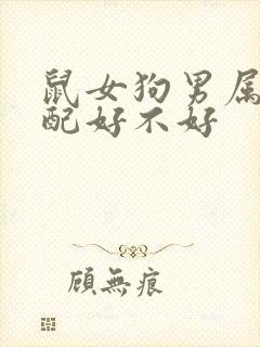 鼠女狗男属相婚配好不好