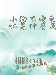 小狗不吃东西呕吐是什么原因