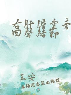 右肝胆囊旁有低回声结节