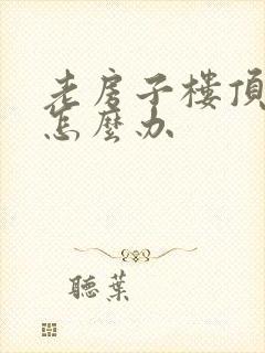 老房子楼顶漏水怎么办