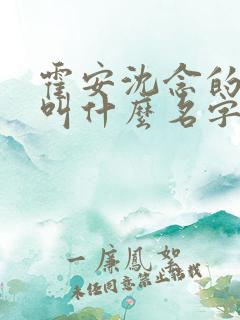 霍安沈念的小说叫什么名字