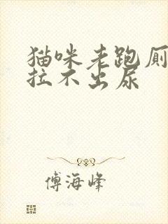 猫咪老跑厕所但拉不出尿