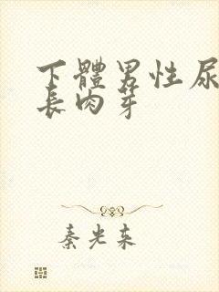 下体男性尿道口长肉芽