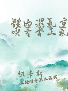 体内湿气重可以吃藿香正气水吗